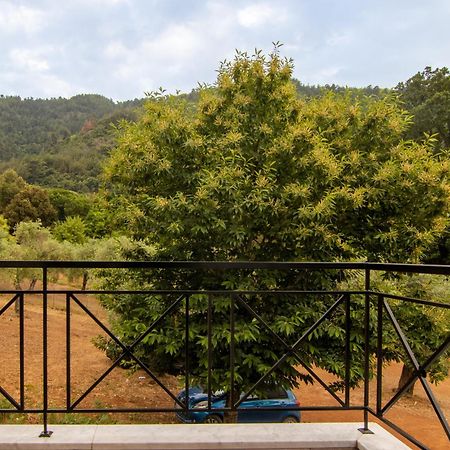 Evergreen Thassos Skála Potamiás Exterior foto