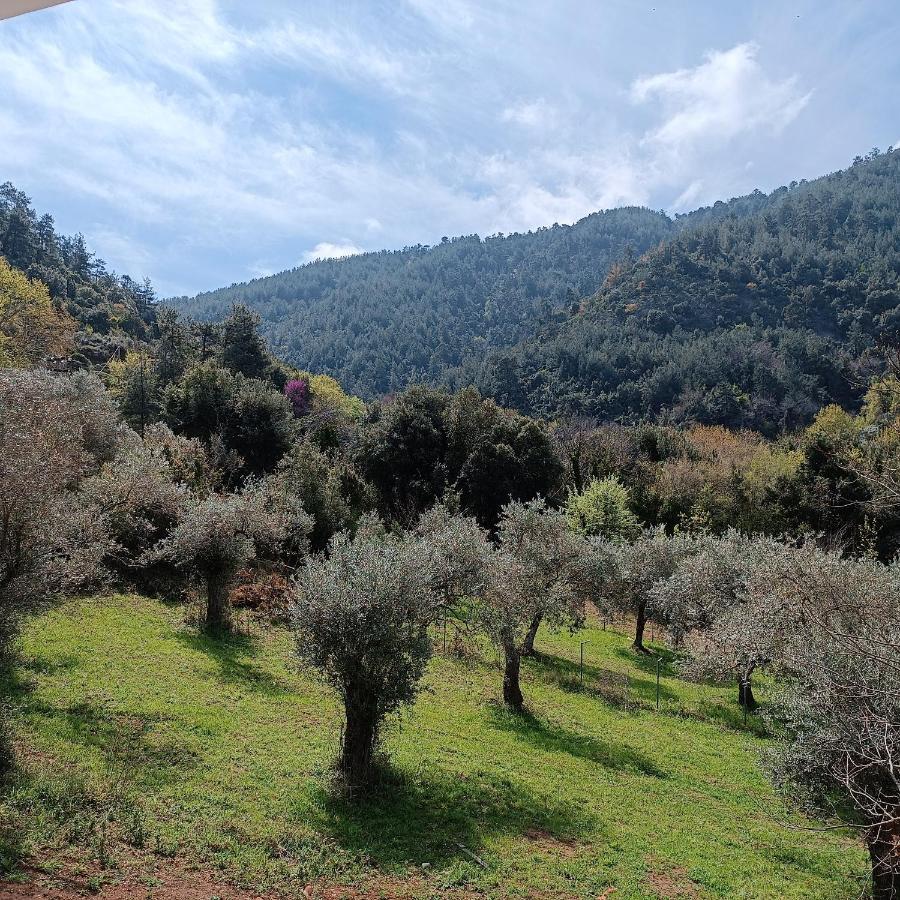 Evergreen Thassos Skála Potamiás Exterior foto