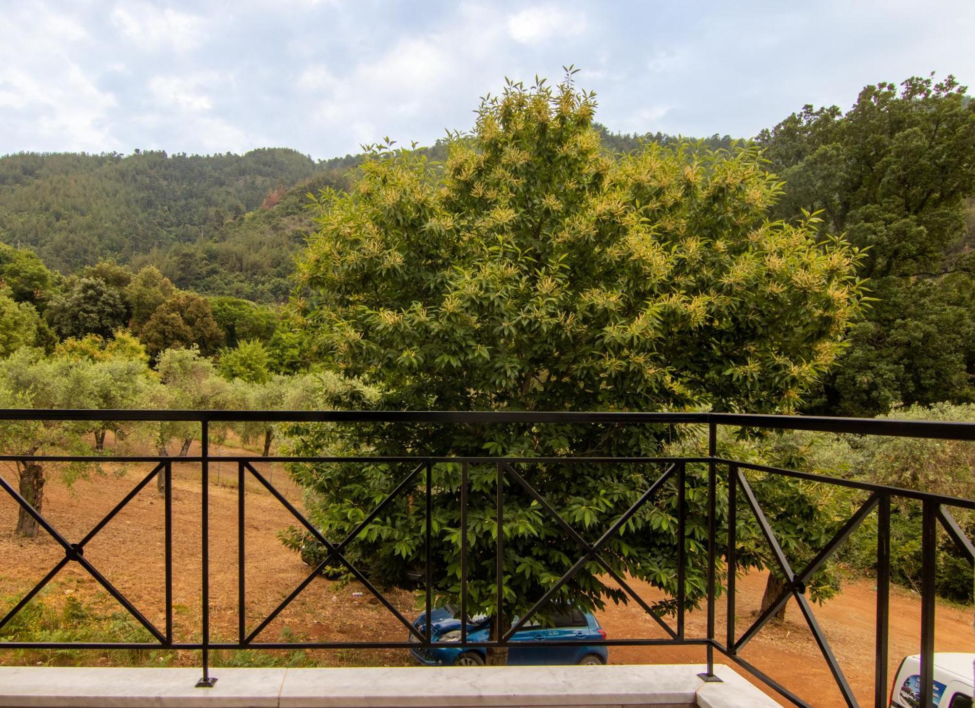 Evergreen Thassos Skála Potamiás Exterior foto